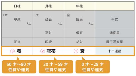 十二運星|四柱推命における十二運（十二運星）の意味と鑑定法 